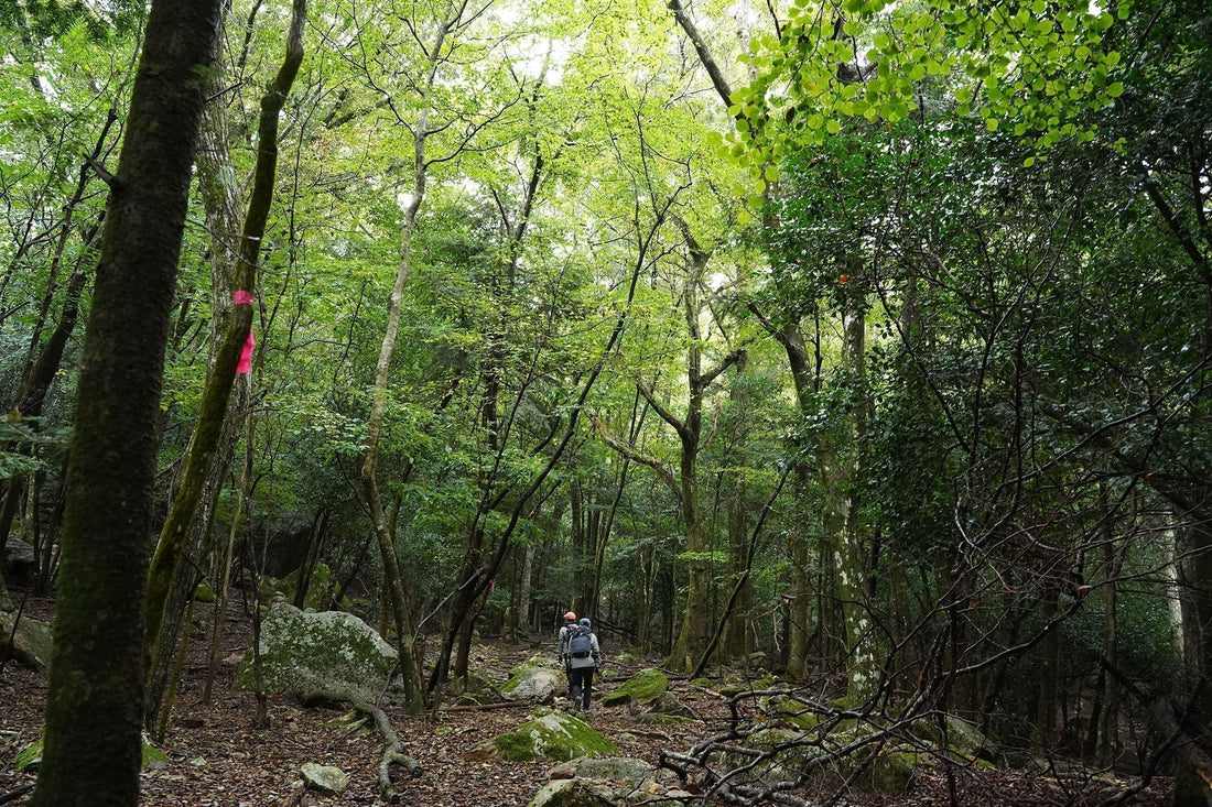 COLUMN:PORTALの部活的利用