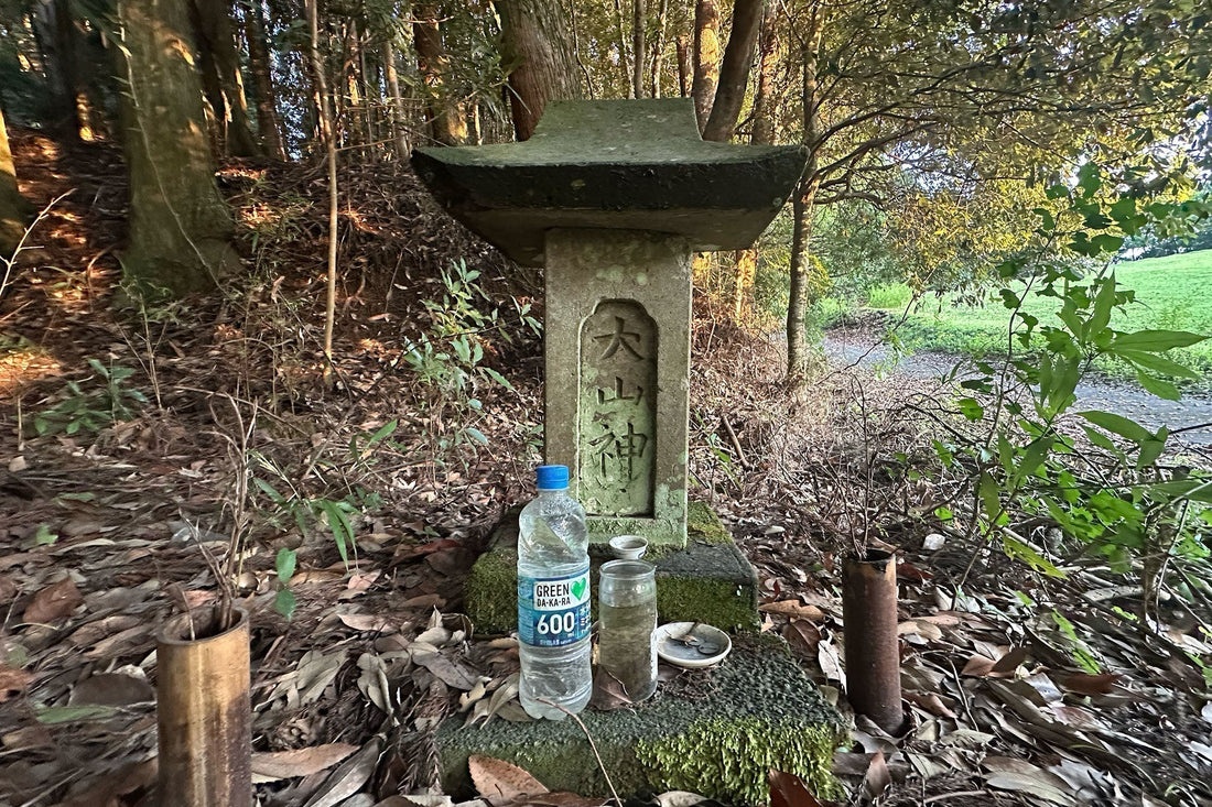 仕事前のひと山 | 歩く広がり・効果とケア