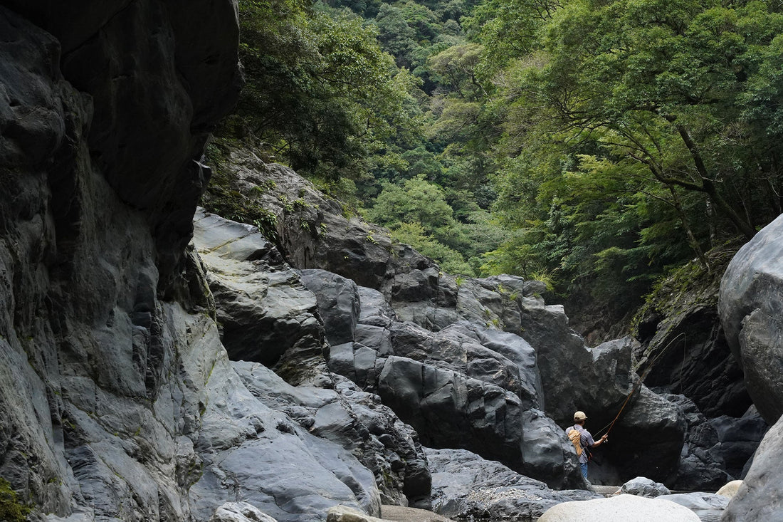 FLY FISHING | 禁漁間近の激渋なヤマメ釣り