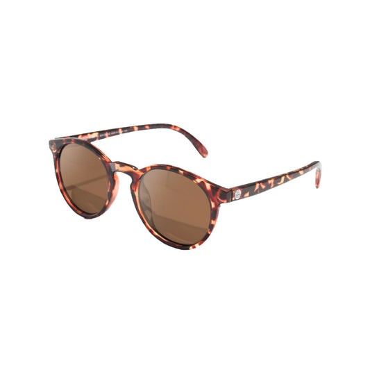 SUNSKI(サンスキー) Dipsea Tortoise Amber SUNDS-TAM