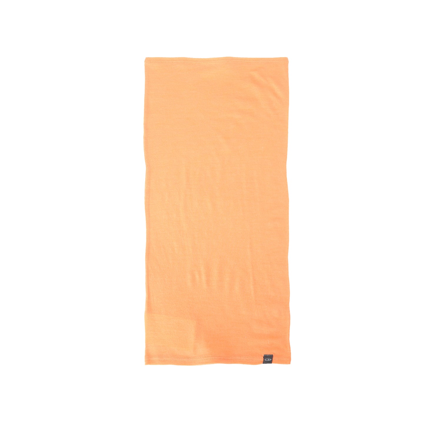 ICEBREAKER(アイスブレーカー) Unisex Merino 200 Flexi Chute IN82300