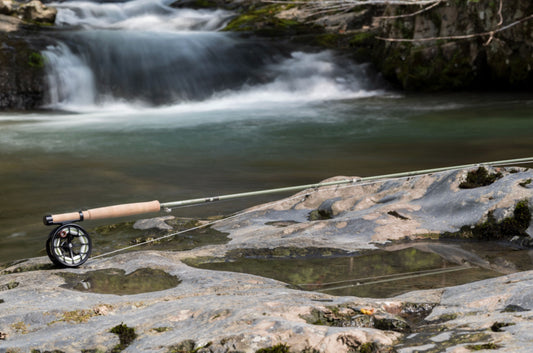 FAGUS(ファーガス) Active Hiker