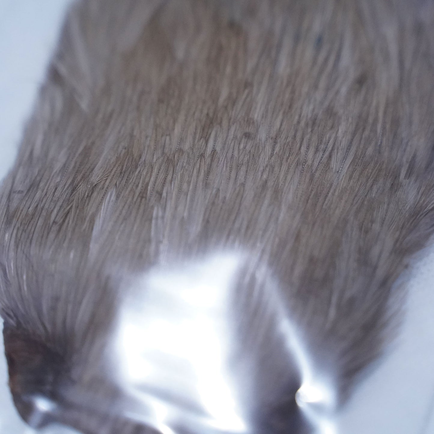 【送料無料】CANAL(キャナル) Indian Cape -インディアンケープ-