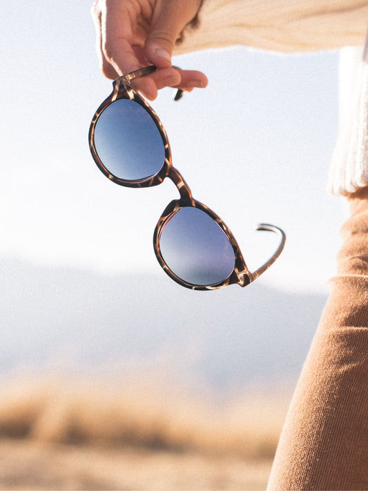 SUNSKI(サンスキー) Dipsea Tortoise Ocean SUNDS-TOC