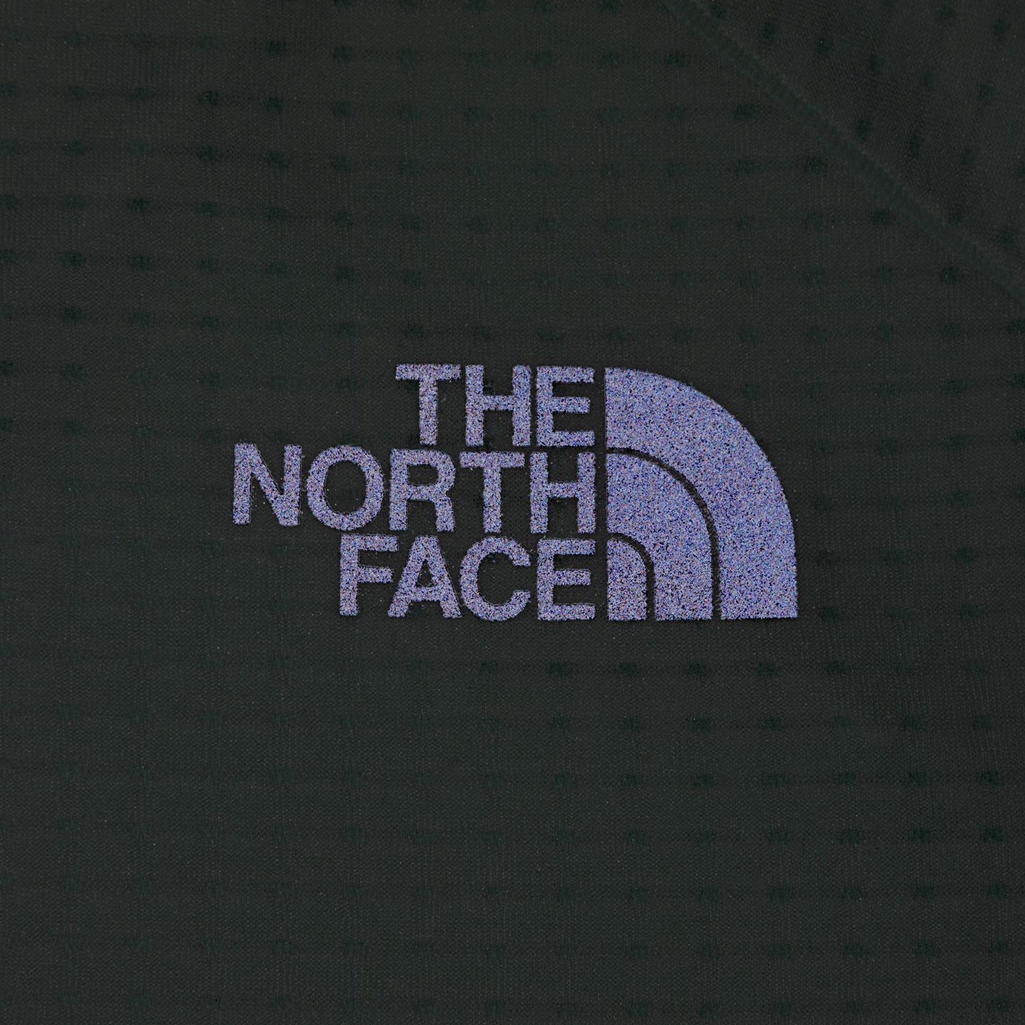 TheNorthFace(ザ・ノース・フェイス) Expedition S/S Dry Dot Pocket Crew NT12520R