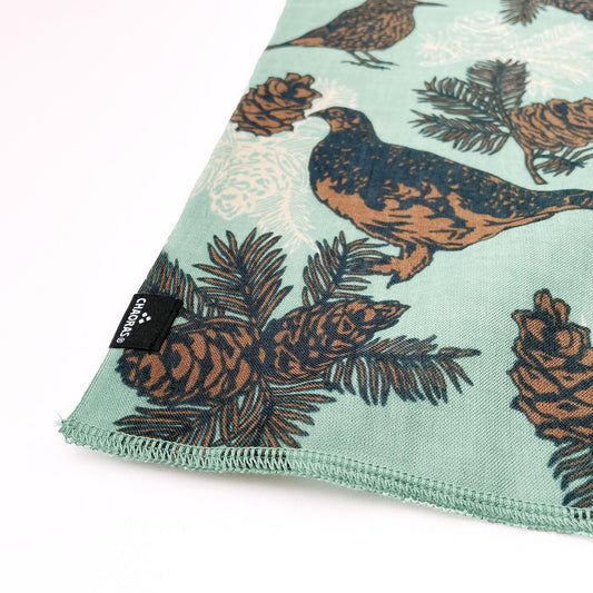 CHAORAS(チャオラス) スポーツテヌグイ ライチョウ&ホシガラス 81058