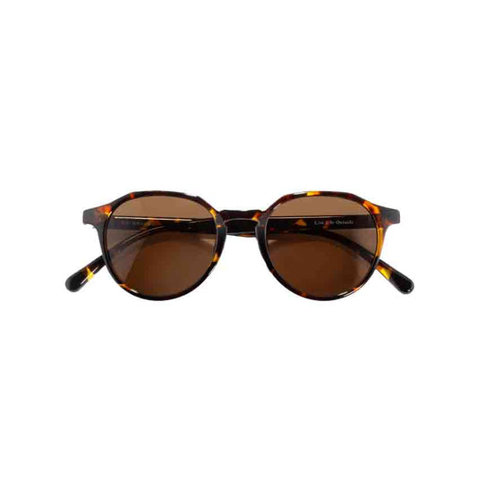 SUNSKI(サンスキー) Vallarta Tortoise Amber SUNVTTAM