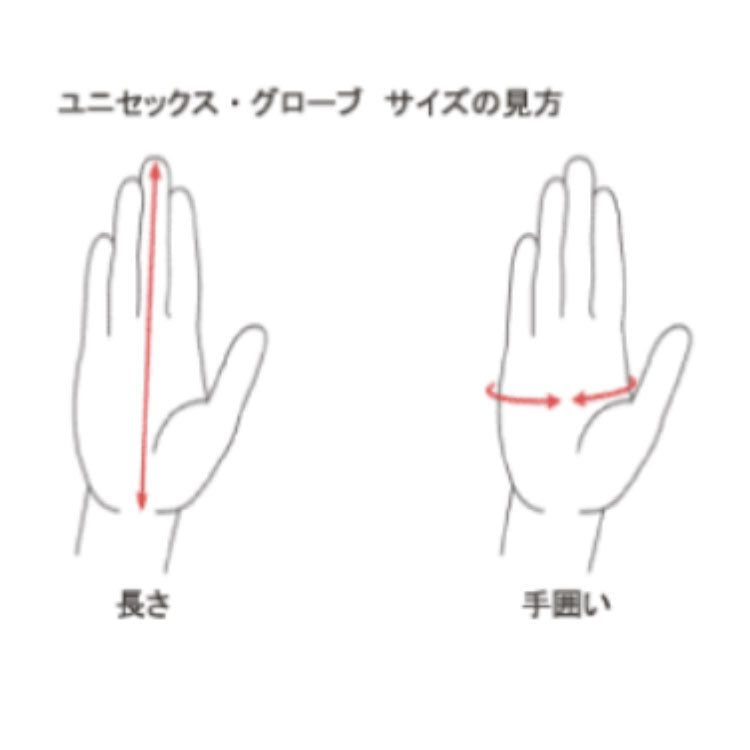 【送料無料】ICEBREAKER(アイスブレーカー) 260 Tech Glove Liner IN62202