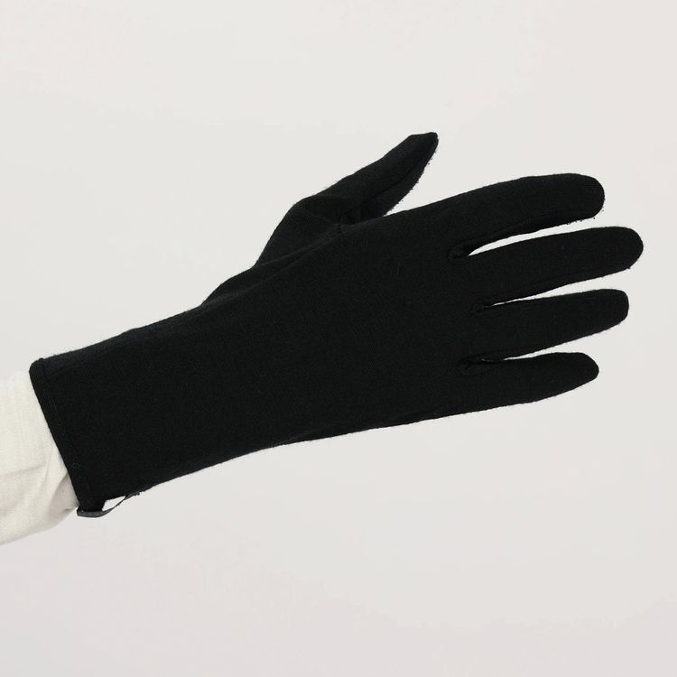 【送料無料】ICEBREAKER(アイスブレーカー) 260 Tech Glove Liner IN62202