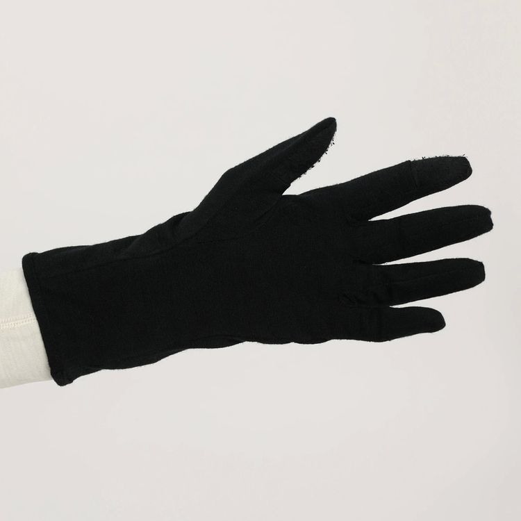 【送料無料】ICEBREAKER(アイスブレーカー) 260 Tech Glove Liner IN62202