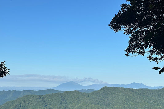 夏の低山でのトレーニング山行：釈迦ヶ岳(宮崎県国富町)