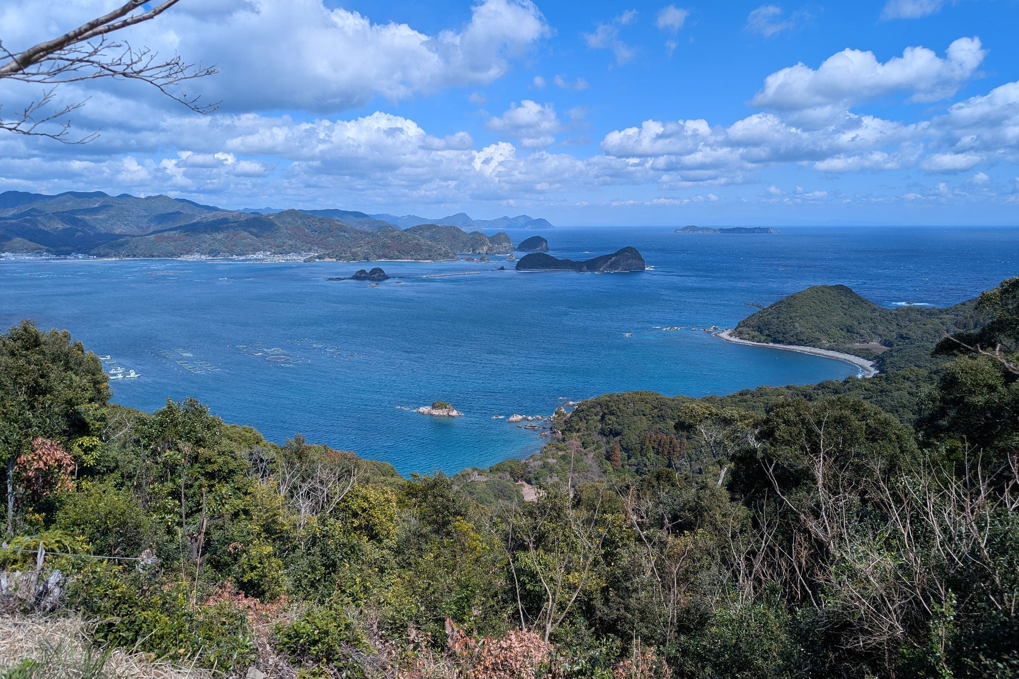Fellows Report：遠見場山(延岡市島野浦)