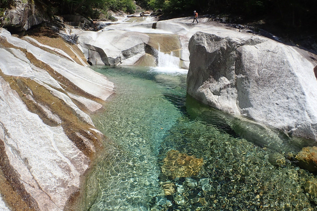 夏！ | 数点の確認とお知らせです