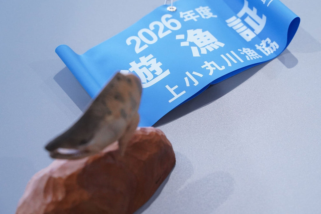 2026年度上小丸川遊漁証