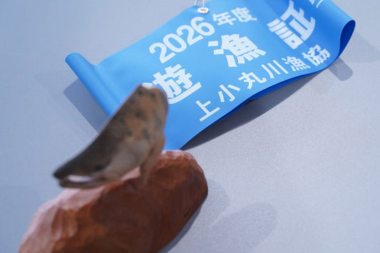 2026年度上小丸川遊漁証