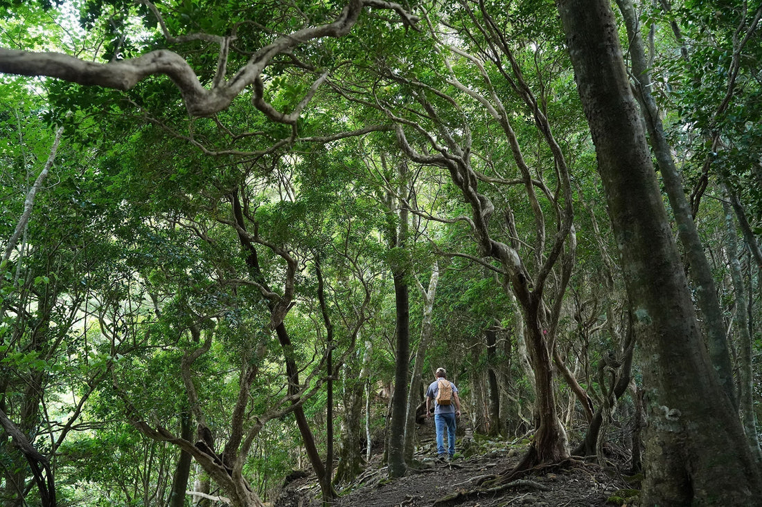 お客さまのご質問 | 山を楽しむための体力作り：スタッフやお客さまの実践していること