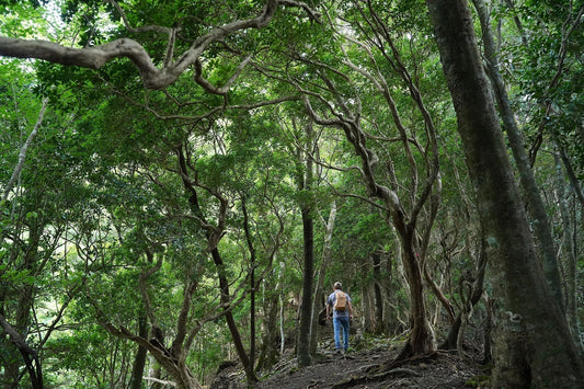 お客さまのご質問 | 山を楽しむための体力作り：スタッフやお客さまの実践していること