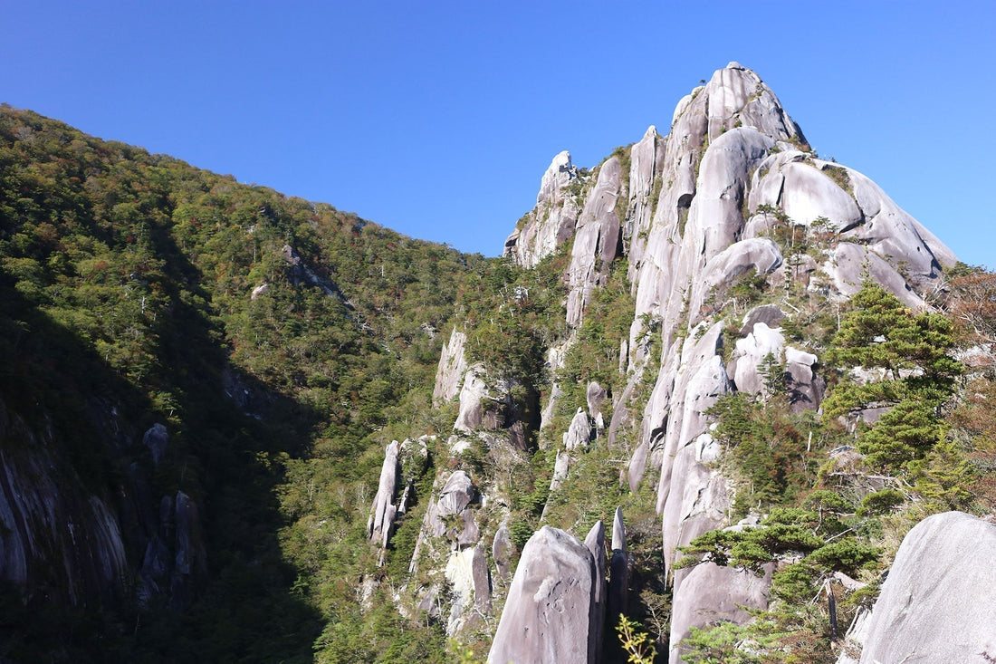 お客さまのご質問：大崩山に登るには