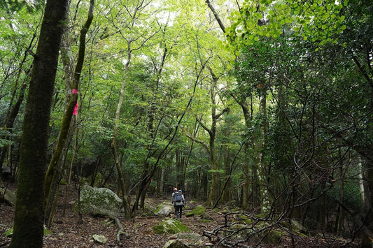 COLUMN：PORTALの部活的利用