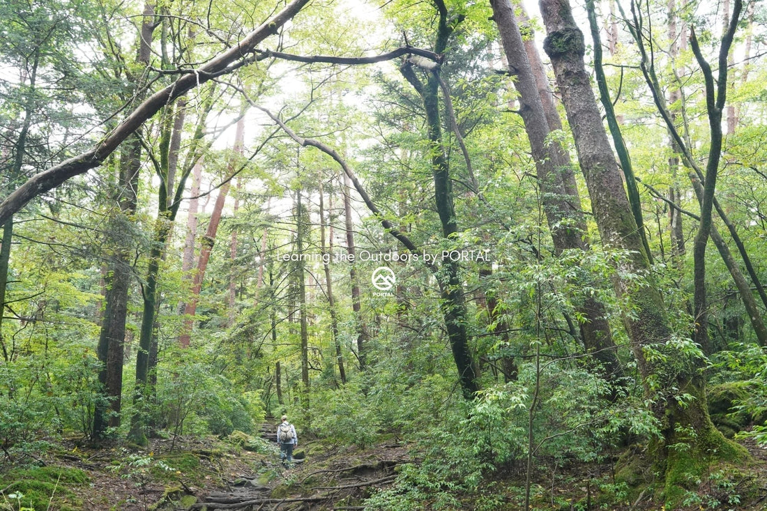 Learning the Outdoors by PORTAL | 001：道具を揃える(登山・ハイキング編)