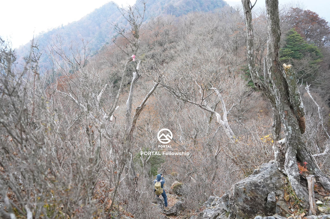 変化を楽しむ習慣をつくるために | PORTAL Fellowship