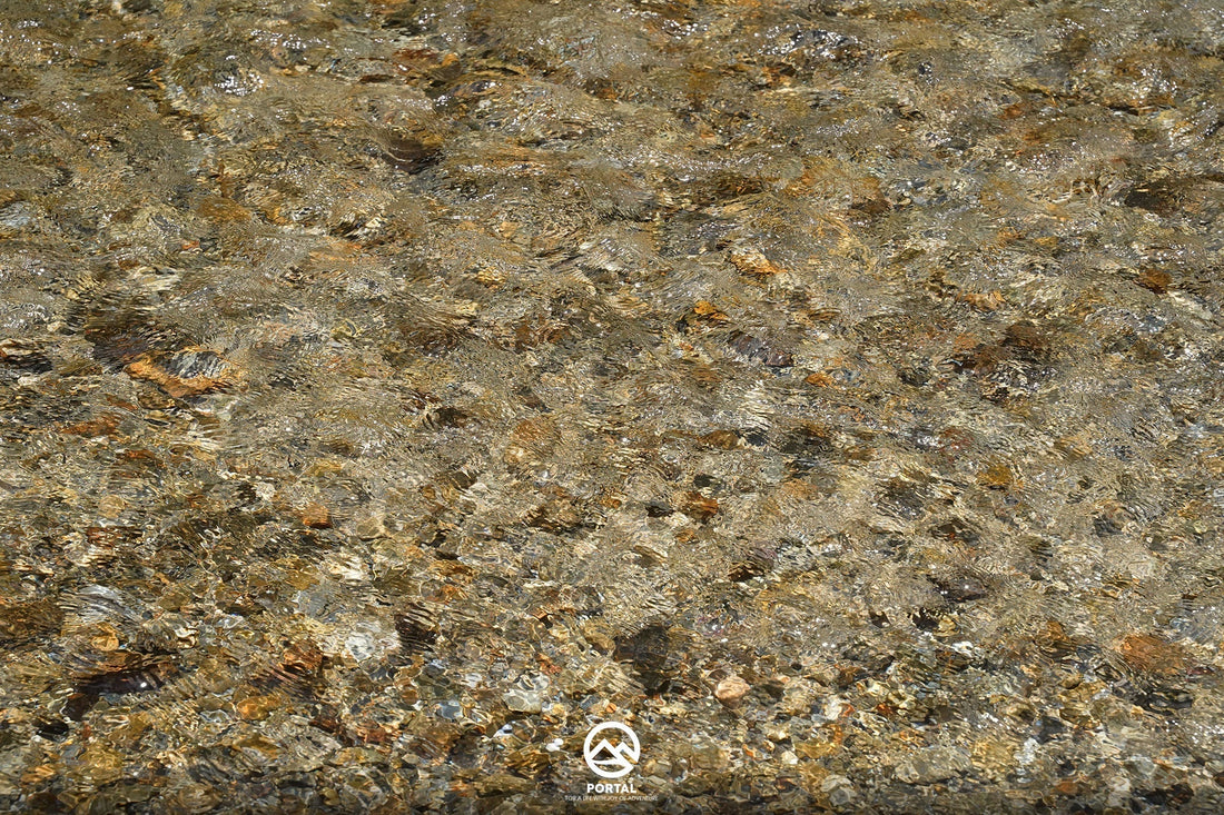 2026年 初商について