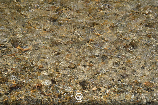 2026年 初商について