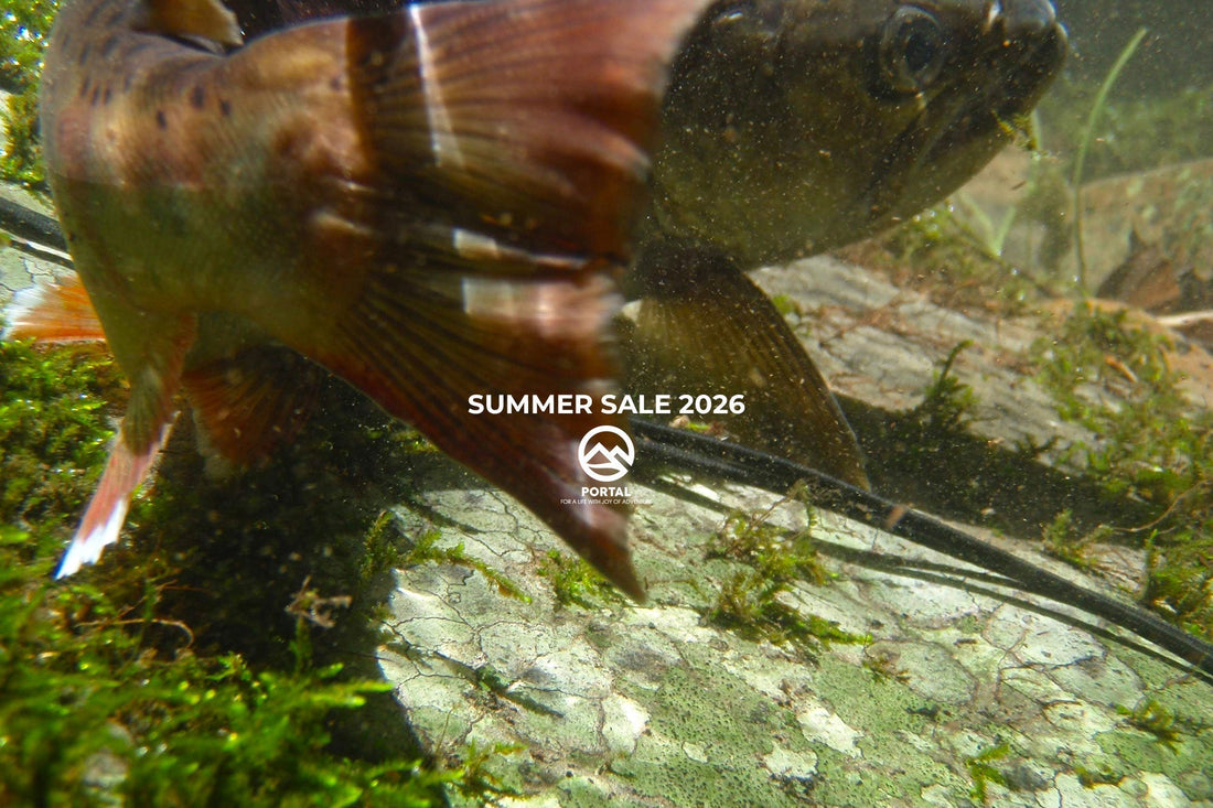 SUMMER SALE 2026