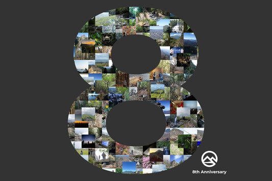 8th Anniversary | 8周年。これまでと、これから