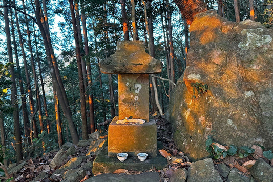 釈迦ヶ岳(宮崎県国富町)を歩く | 2026年最初の出勤前の山歩き