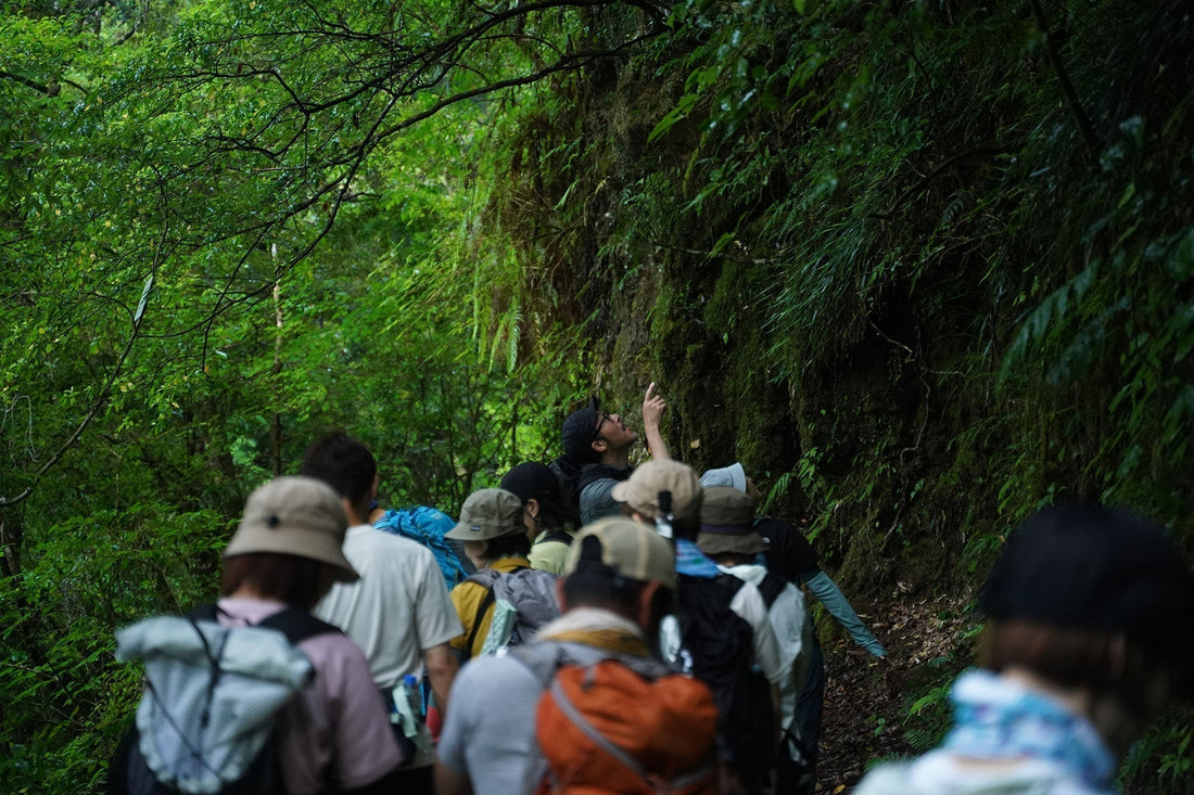 EVENT REPORT：朝の加江田渓谷ハイキング