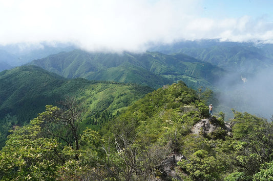 お客さまと夏の山をブラリ | 石堂山(宮崎県西米良村)