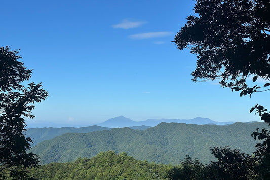 仕事前のひと山