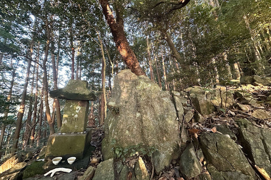 仕事前のひと山 | 秋に向けての身体作り