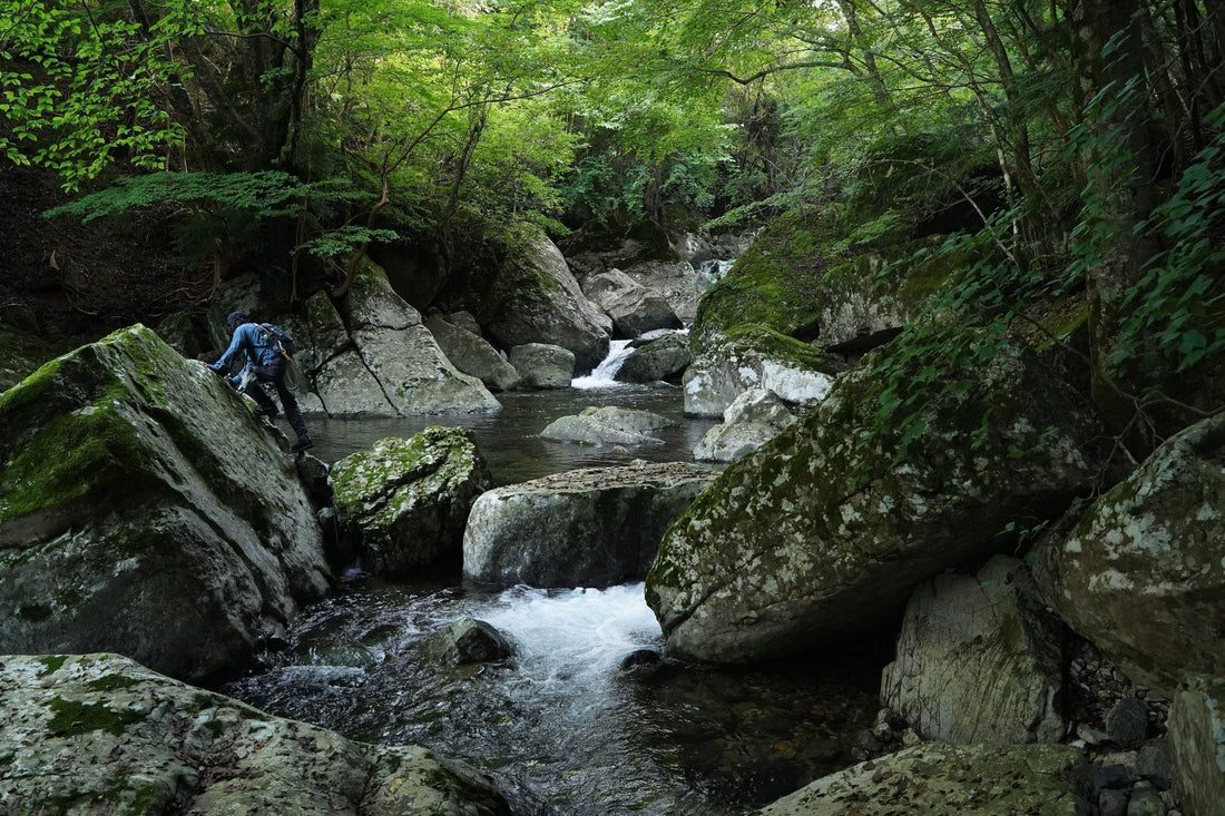 FLY FISHING ： 源流釣行 -納竿2025-