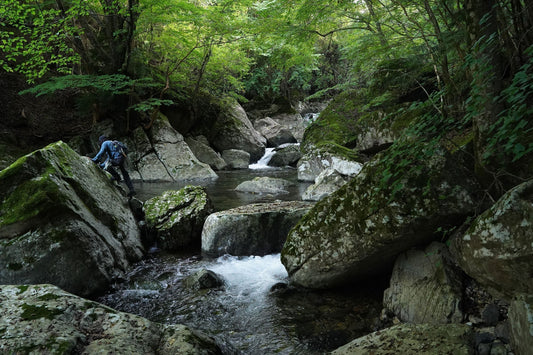 FLY FISHING ： 源流釣行 -納竿2025-