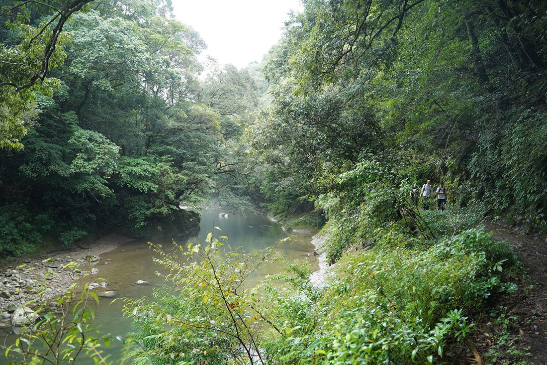 【EVENT REPORT】加江田渓谷HIKING 2025.10.12