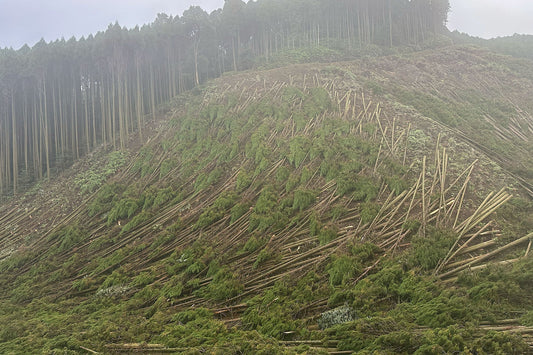 釈迦ヶ岳(宮崎県国富町)を歩く | 小雨の中、運動を兼ねてブラリ山歩き