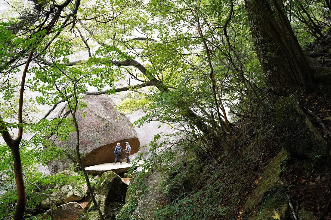 鉾岳(宮崎県延岡市)を歩く | お客さまと山を歩いて麓の方との交流を