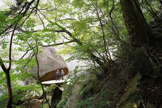 鉾岳(宮崎県延岡市)を歩く | お客さまと山を歩いて麓の方との交流を