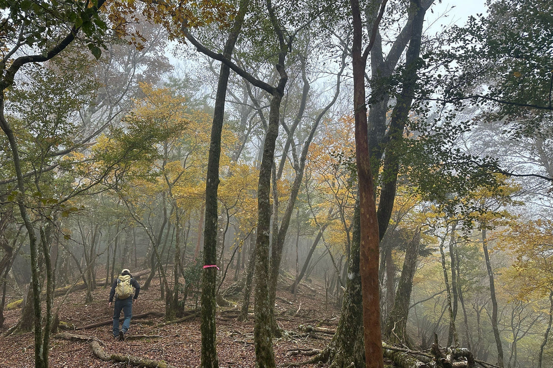 尾鈴山系(宮崎県都農町)を歩く | お客さまと中距離なコースを考えて尾鈴山をブラリ