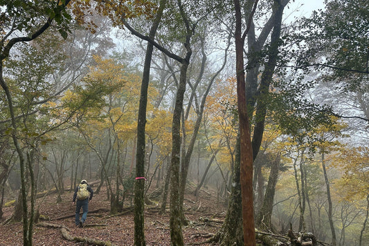 尾鈴山系(宮崎県都農町)を歩く | お客さまと中距離なコースを考えて尾鈴山をブラリ