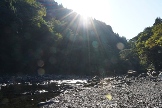 出勤前のフライフィッシング練習