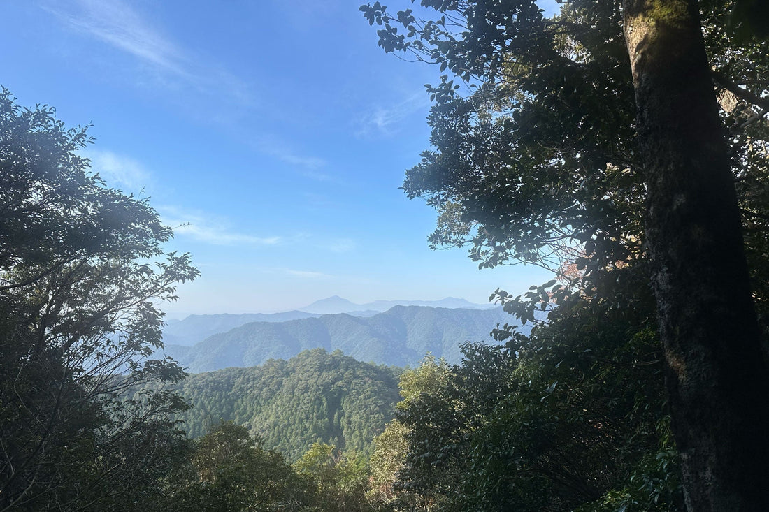 釈迦ヶ岳(宮崎県国富町)を歩く | お客様の久々の山のお供に