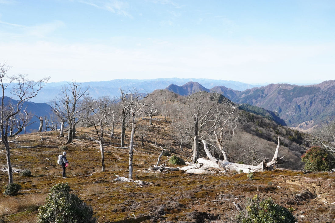 地蔵岳 - 大崩山(宮崎県延岡市)を歩く | お客さまと山を歩いて麓の方との時間を満喫