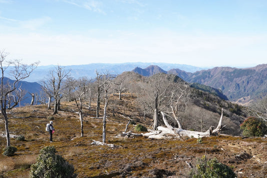 地蔵岳 - 大崩山(宮崎県延岡市)を歩く | お客さまと山を歩いて麓の方との時間を満喫