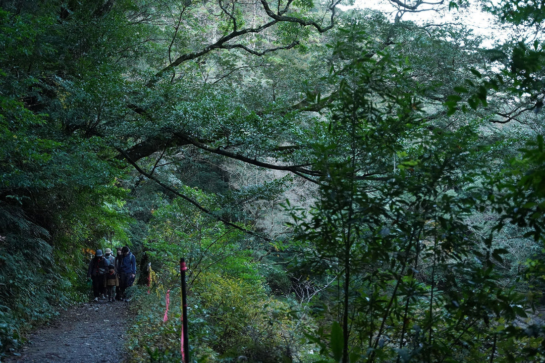 加江田渓谷 イベントレポート