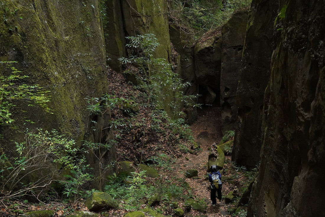 双石山(宮崎県宮崎市)を歩く | 近くの低山を歩いて"はしもと弁当店"さんの弁当を