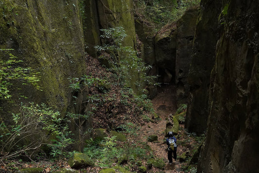 双石山(宮崎県宮崎市)を歩く | 近くの低山を歩いて"はしもと弁当店"さんの弁当を