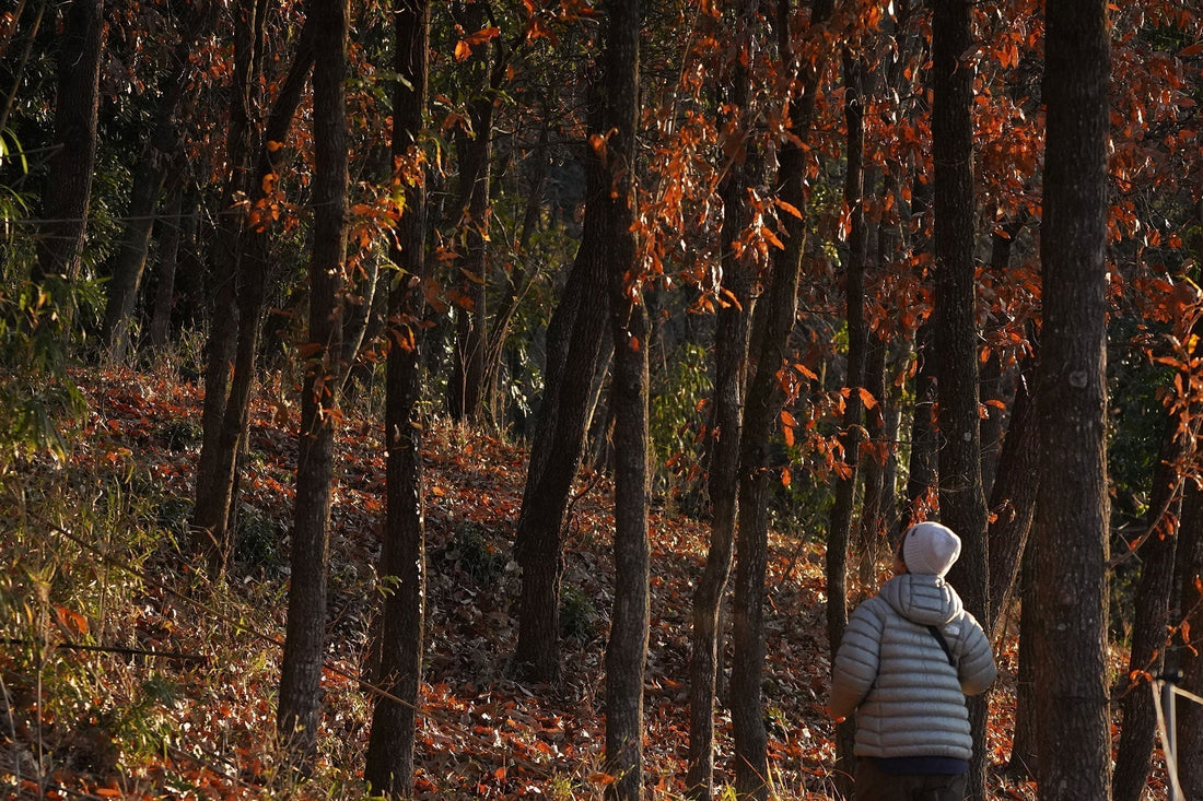 お客さまと出勤前の鳥見へ